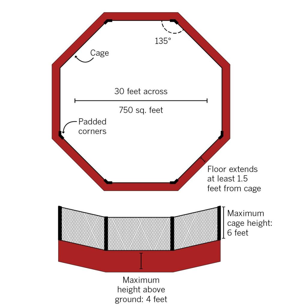 octagon & rules explainer
